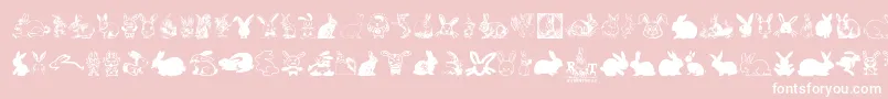 Rabbit Font – White Fonts on Pink Background