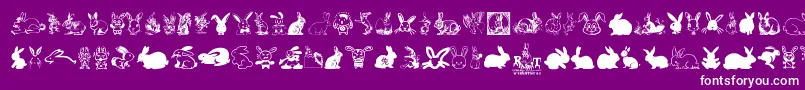 Rabbit-Schriftart – Weiße Schriften auf violettem Hintergrund