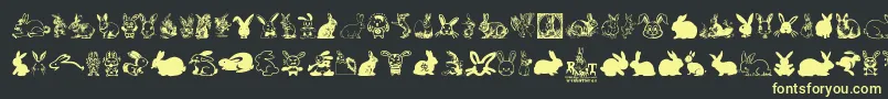 Rabbit Font – Yellow Fonts on Black Background