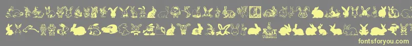 Rabbit-Schriftart – Gelbe Schriften auf grauem Hintergrund