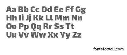 Exo2.0Black Font