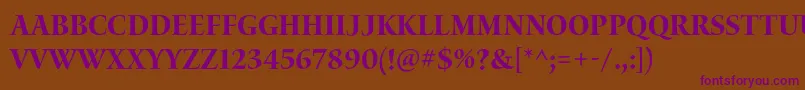 WaterstitlingproBdscn Font – Purple Fonts on Brown Background