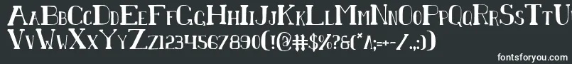 ChardinDoihleCondensed Font – White Fonts
