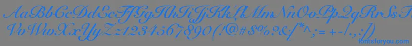 SnellRoundhandBoldScript Font – Blue Fonts on Gray Background