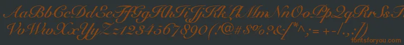Więcej informacji o czcionce SnellRoundhandBoldScript Czcionka SnellRoundhandBoldScript – brązowe czcionki na czarnym tle