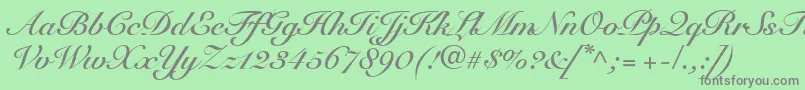 SnellRoundhandBoldScript Font – Gray Fonts on Green Background