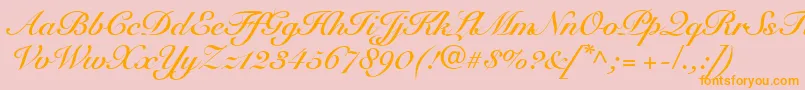 SnellRoundhandBoldScript Font – Orange Fonts on Pink Background