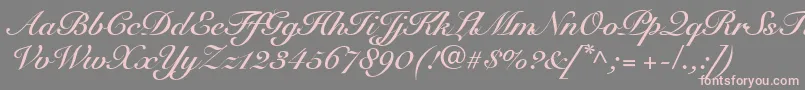 SnellRoundhandBoldScript Font – Pink Fonts on Gray Background