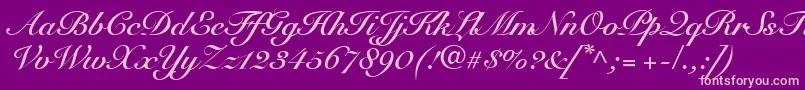 SnellRoundhandBoldScript Font – Pink Fonts on Purple Background