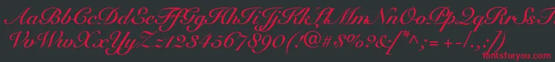 SnellRoundhandBoldScript Font – Red Fonts on Black Background