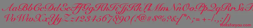 フォントSnellRoundhandBoldScript – 赤い文字の灰色の背景