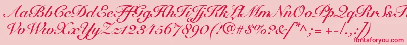 SnellRoundhandBoldScript Font – Red Fonts on Pink Background