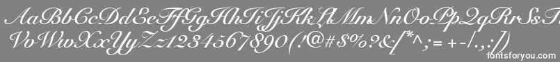 SnellRoundhandBoldScript Font – White Fonts on Gray Background