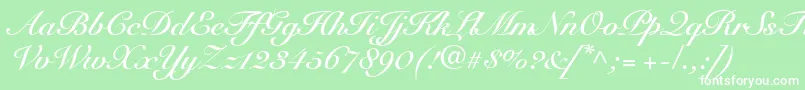 SnellRoundhandBoldScript Font – White Fonts on Green Background