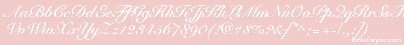 SnellRoundhandBoldScript Font – White Fonts on Pink Background