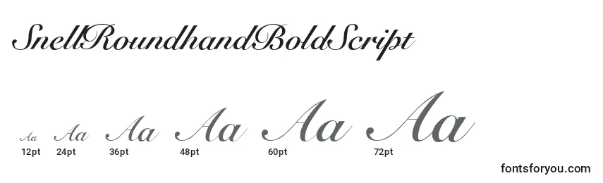 Größen der Schriftart SnellRoundhandBoldScript