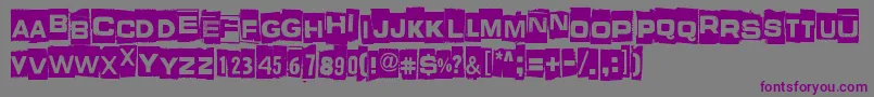 フォントWhatIsThisSomeKindOfJoke – 紫色のフォント、灰色の背景