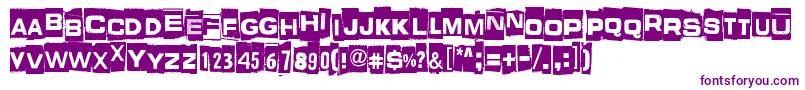 WhatIsThisSomeKindOfJoke Font – Purple Fonts on White Background