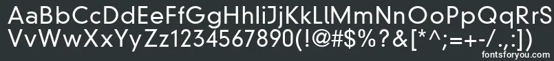 ParallaxGroteskLightSsiLight Font – White Fonts