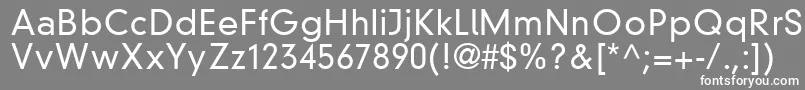ParallaxGroteskLightSsiLight Font – White Fonts on Gray Background