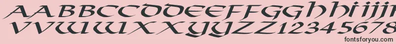 VikingNormalExItalic-Schriftart – Schwarze Schriften auf rosa Hintergrund