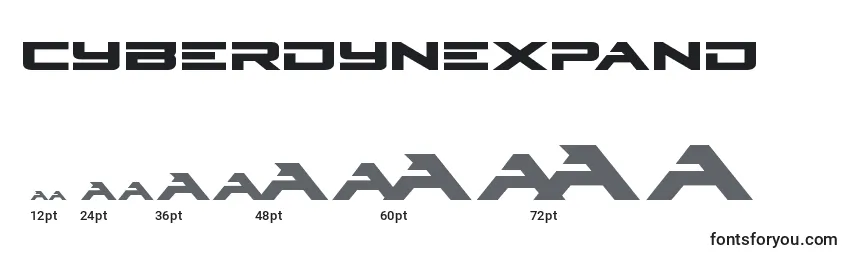 Размеры шрифта Cyberdynexpand