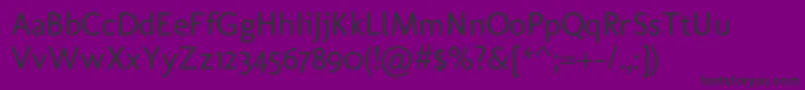 MolengoRegular-fontti – mustat fontit violetilla taustalla