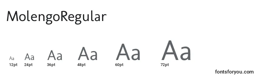 MolengoRegular font sizes