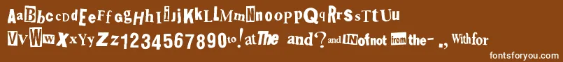 Shoplifter Font – White Fonts on Brown Background