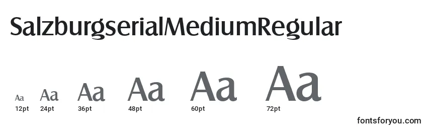 Размеры шрифта SalzburgserialMediumRegular