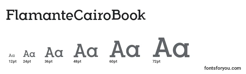 Размеры шрифта FlamanteCairoBook