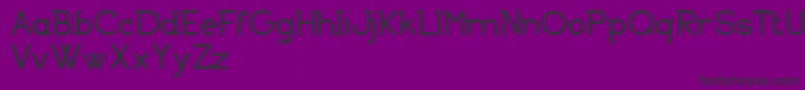 BasicallySerifFreeVersion Font – Black Fonts on Purple Background