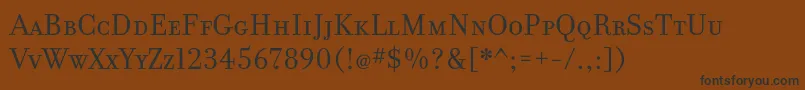 FilosofiaCyrWebSmallCaps Font – Black Fonts on Brown Background