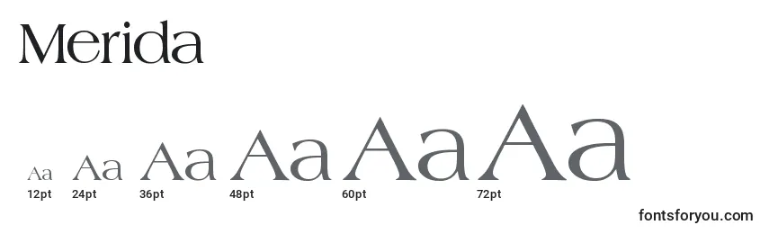 Merida Font Sizes