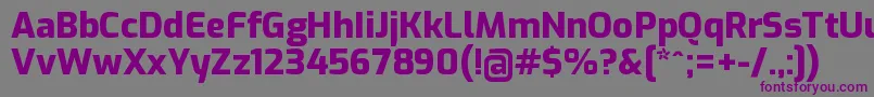ExoExtrabold Font – Purple Fonts on Gray Background