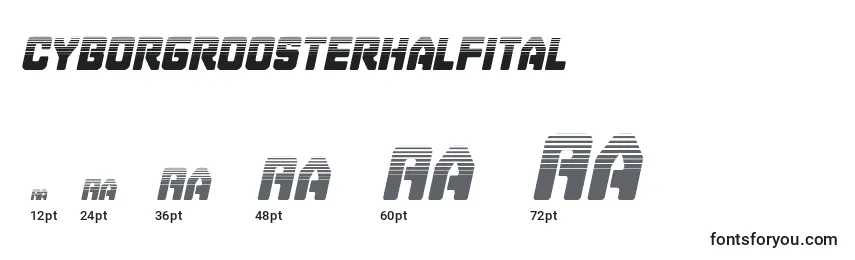 Cyborgroosterhalfital Font Sizes