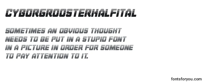 Cyborgroosterhalfital Font