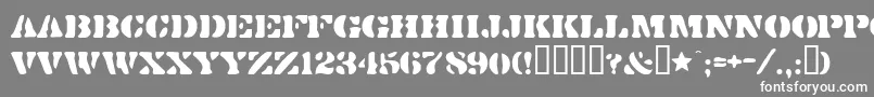 Dirtybakersdozen Font – White Fonts on Gray Background