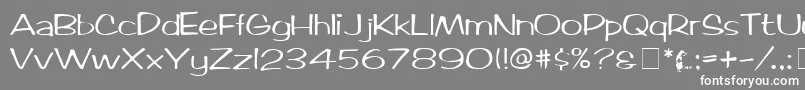 ArcticMedium Font – White Fonts on Gray Background
