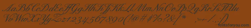 ExcelsorscriptBolditalic Font – Black Fonts on Brown Background