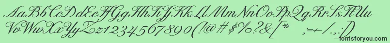 Fonte ExcelsorscriptBolditalic – fontes pretas em um fundo verde