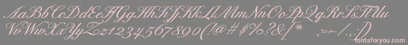 ExcelsorscriptBolditalic Font – Pink Fonts on Gray Background