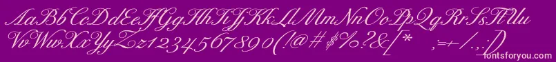 ExcelsorscriptBolditalic Font – Pink Fonts on Purple Background