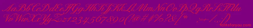 ExcelsorscriptBolditalic-Schriftart – Rote Schriften auf violettem Hintergrund