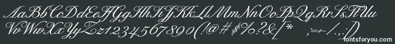 フォントExcelsorscriptBolditalic – 白い文字