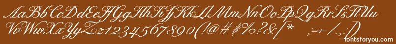 フォントExcelsorscriptBolditalic – 茶色の背景に白い文字