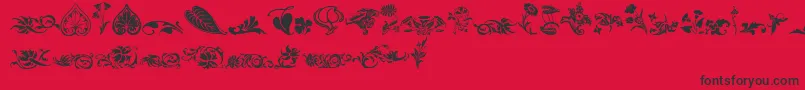 Wwfloralcorner Font – Black Fonts on Red Background