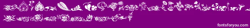フォントWwfloralcorner – 紫の背景に白い文字