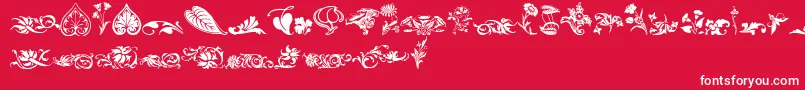 Wwfloralcorner Font – White Fonts on Red Background