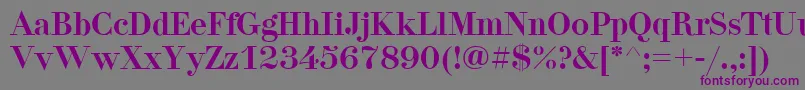 Didona-Schriftart – Violette Schriften auf grauem Hintergrund